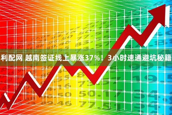 利配网 越南签证线上暴涨37%！3小时速通避坑秘籍