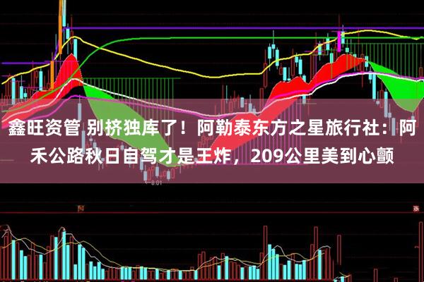鑫旺资管 别挤独库了！阿勒泰东方之星旅行社：阿禾公路秋日自驾才是王炸，209公里美到心颤