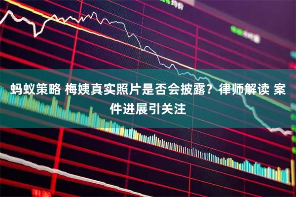 蚂蚁策略 梅姨真实照片是否会披露？律师解读 案件进展引关注