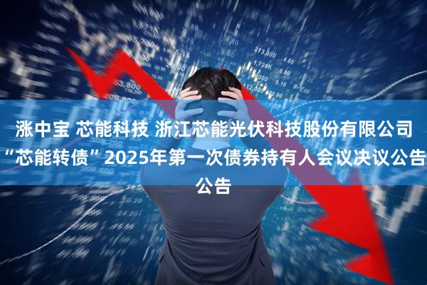 涨中宝 芯能科技 浙江芯能光伏科技股份有限公司“芯能转债”2025年第一次债券持有人会议决议公告