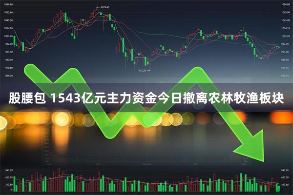 股腰包 1543亿元主力资金今日撤离农林牧渔板块