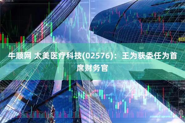 牛顺网 太美医疗科技(02576)：王为获委任为首席财务官