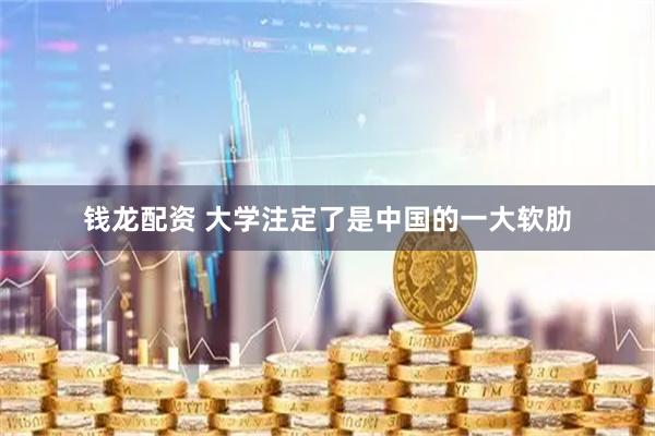 钱龙配资 大学注定了是中国的一大软肋